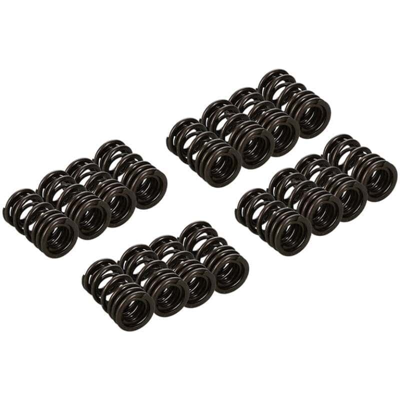 Manley Performance — Manley Honda K20A/K20Z Valve Spring and Retainer Kit (w/o Valve Locks)
Valve Spring Kit-SC - view 1