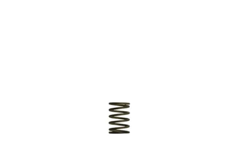 Turbosmart — Turbosmart Gen-V WG38/40 3psi Black Inner Spring
Inner Spring - view 1