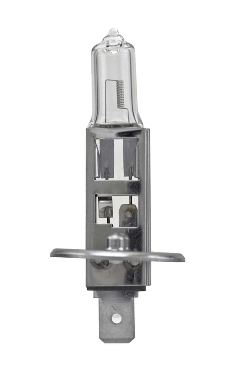 Hella — Hella Bulb H1 12V 55W P145S T25 +50
H1P50 Halogen Bulb - view 1