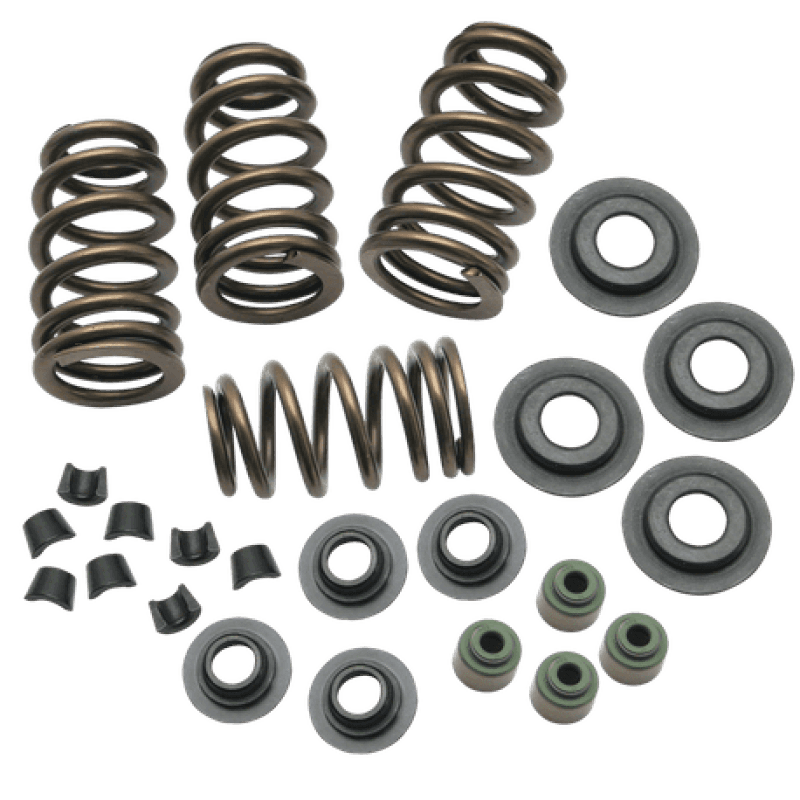 S&S Cycle — S&S Cycle 04-19 XL Valve Spring Kit - .650in - view 2