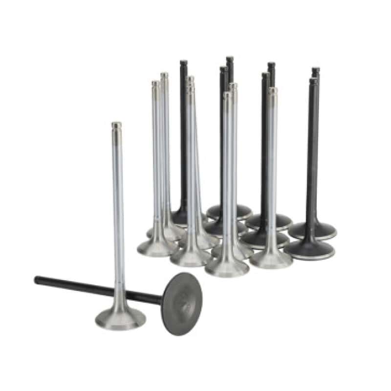 Skunk2 Racing — Skunk2 Honda K20C1 Alpha Series Intake & Exhaust Valve Set (Standard Compression) - view 2