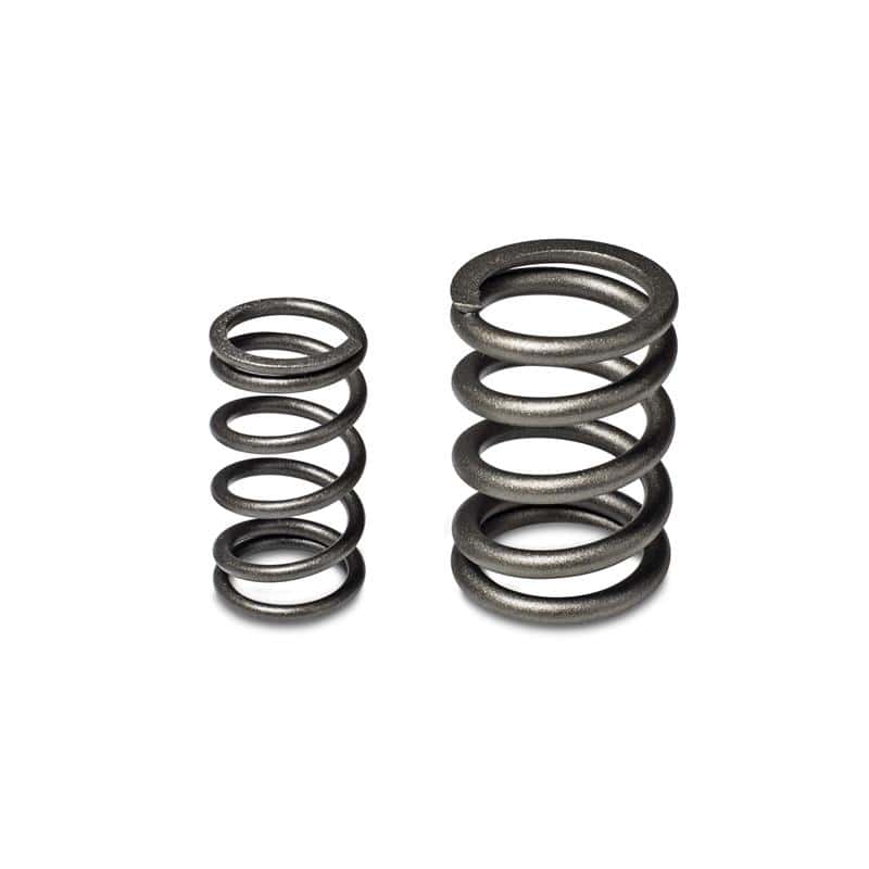 Skunk2 Racing — Skunk2 Tuner Series Honda/Acura (B16A/ B17A/ B18C) DOHC VTEC Alpha Valve Spring Set (Dual Springs)
Valve Spring Kit - view 2