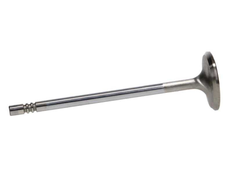 Manley Performance — Manley Ford 4.6L 34mm Diameter 117.35mm Length Race Master Exhaust Valves (Set of 8)
Valve - Intake - view 4