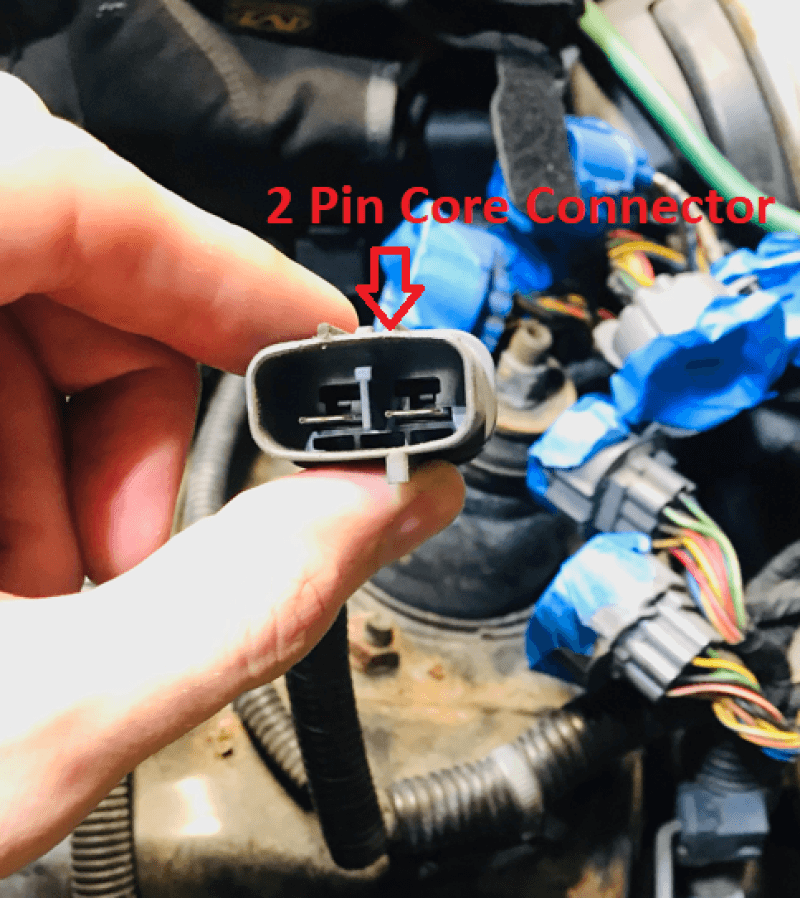 Rywire — Rywire 92-95 Honda Prelude AEM Infinity Chassis Adapter (Must Send Rywire 2-Pin Core Connector) - view 2