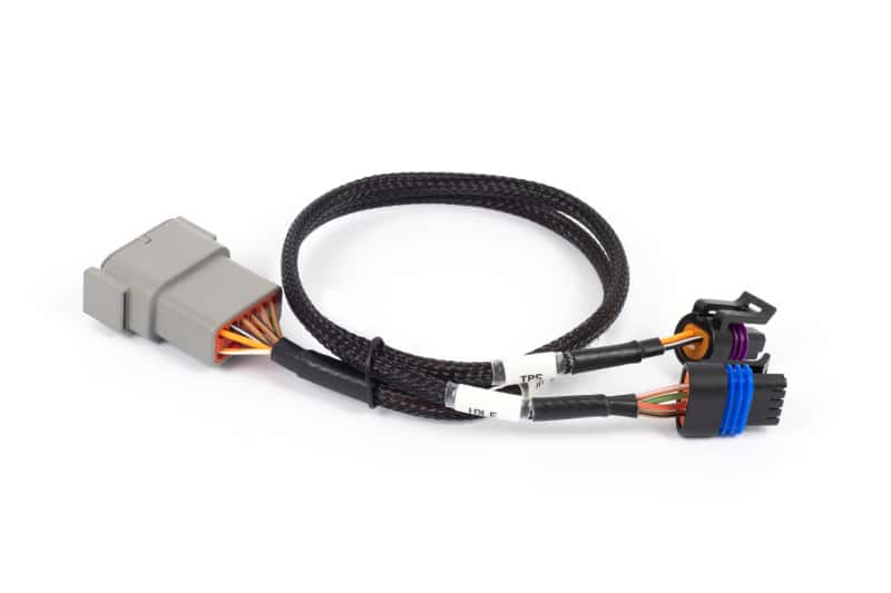 Haltech — Haltech NEXUS Rebel LS Cable Throttle & IAC Sub-Harness - view 2
