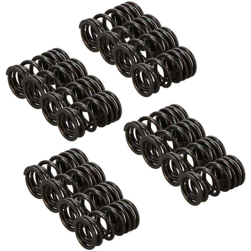 Manley Performance — Manley Honda K20A/K20Z Valve Spring and Retainer Kit (w/o Valve Locks)
Valve Spring Kit-SC - view 2