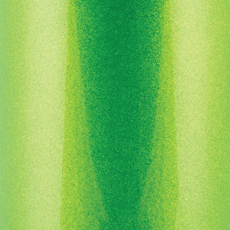 Wehrli — Wehrli 17-19 Duramax L5P Coolant Tank OEM Placement Sparkle Granny Smith
Clnt Res 17-19 SGS - view 3