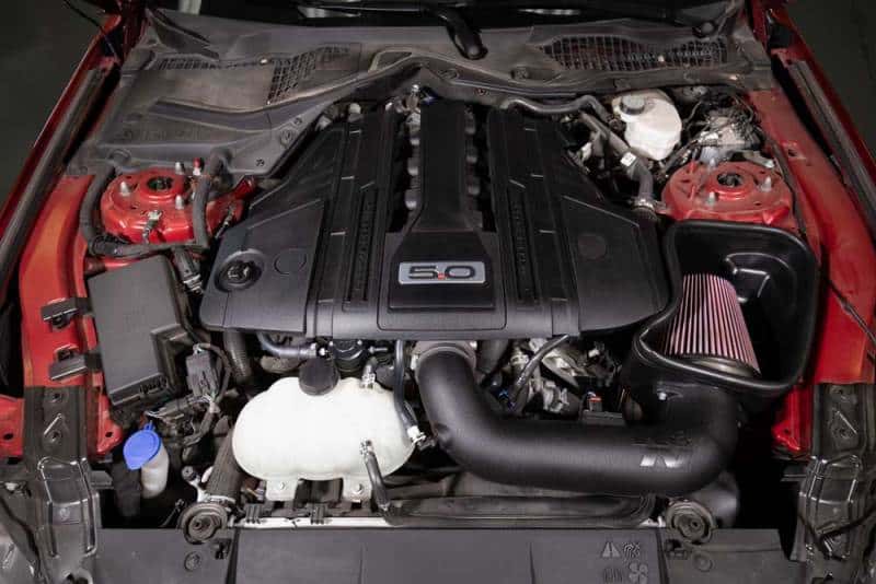 K&N Engineering — K&N 18-23 Ford Mustang GT 5.0L V8 (Gas) Catch Can Oil Separator
Catch Can; Oil Separ - view 4