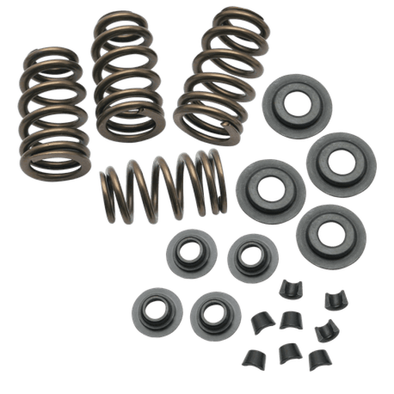 S&S Cycle — S&S Cycle 84-04 BT/86-03 Sportster Models .650in Lift Sidewinder Valve Spring Kit - view 2