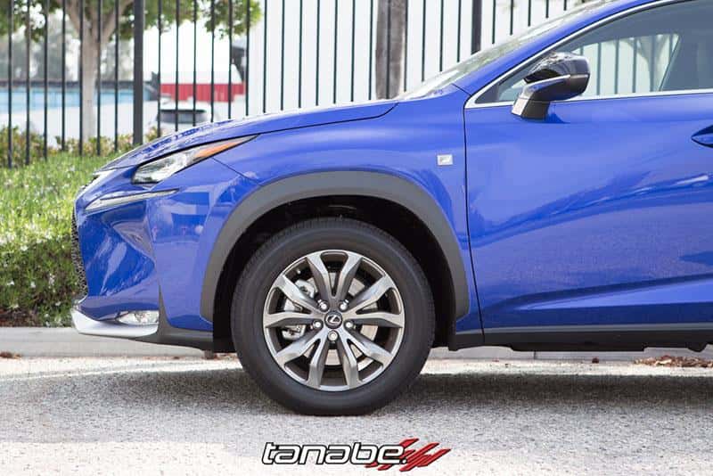 Tanabe — Tanabe NF210 Springs 15-16 Lexus NX200T F-Sport FWD - view 2