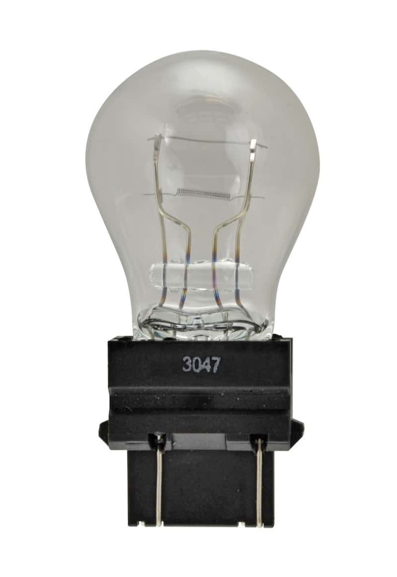 Hella — Hella Bulb 3047 12V 21/7W W2.5X16q S8
3047 Incan Bulb - view 2