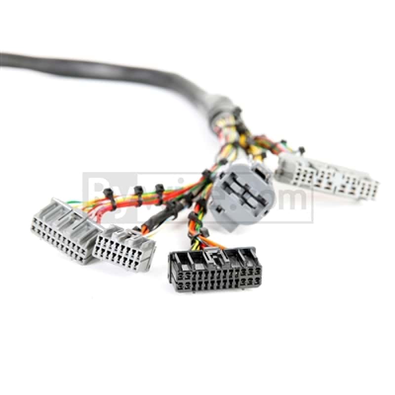 Rywire — Rywire Honda B/D-Series Mil-Spec Eng Harness w/OBD1 Dist/Inj/Alternator & 92-95 Plugs (Adapter Req) - view 2