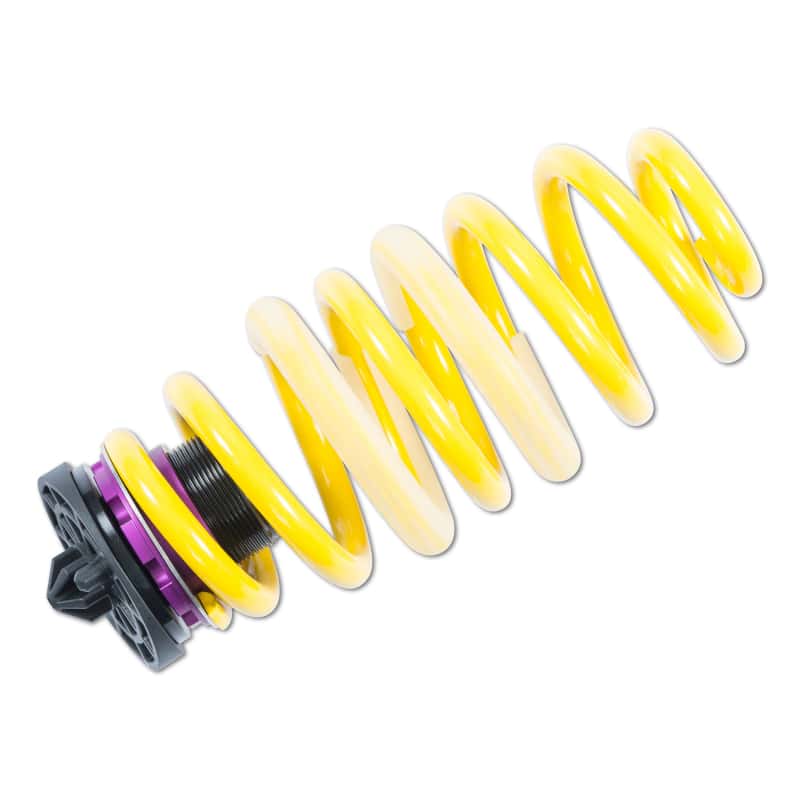 KW — KW H.A.S. Ausi RS5 w/ DRC
Adj Lowering Springs - view 5