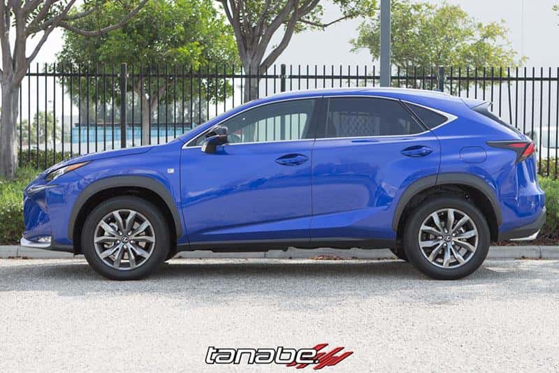 Tanabe — Tanabe NF210 Springs 15-16 Lexus NX200T F-Sport FWD - view 3