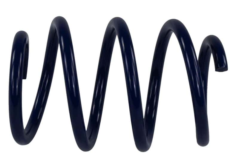 Ford Racing — Ford Racing 2015-2017 Mustang GT350 Lowering Springs - view 14