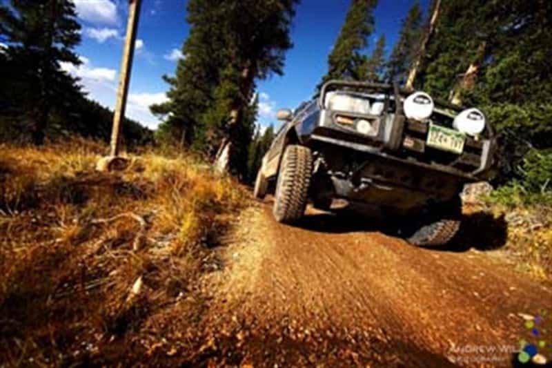 ARB — ARB W/Bar Tacoma 05-11 Afo 8-9.5 (Fit Kit NOT Included)
Winch Bumper - view 5