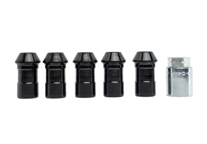 Ford Racing — Ford Racing 2023+ Ford Bronco Raptor M14 x 1.5 Black Security Lug Nut Kit - Set of 5
Wheel Lug Nut - view 3