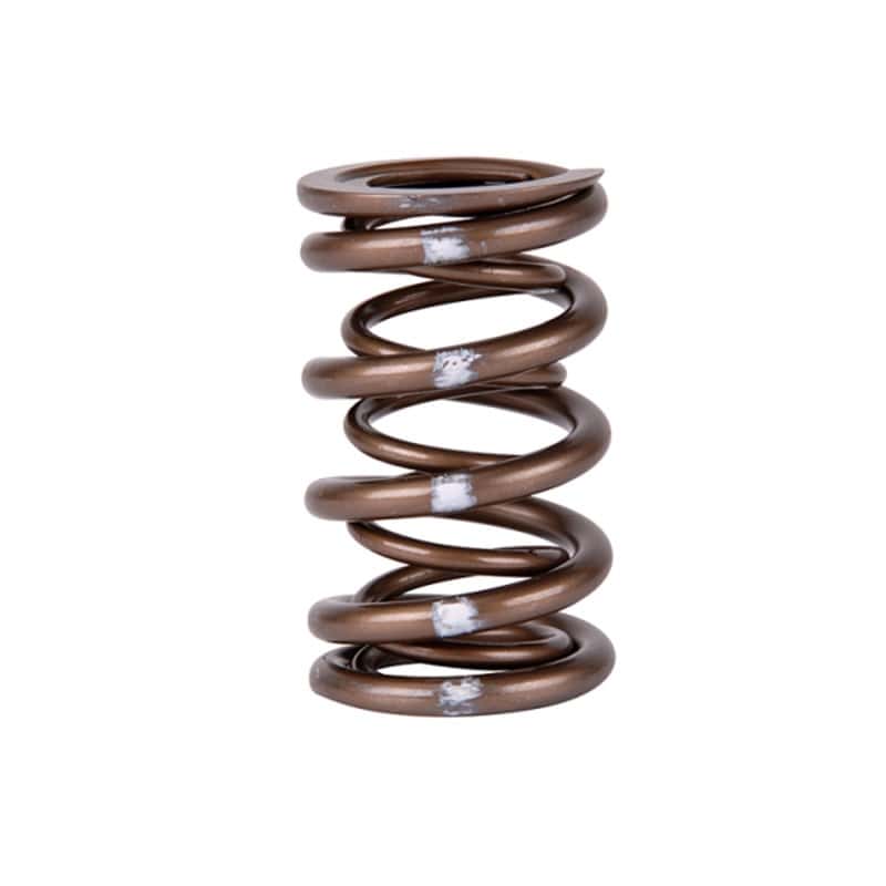 Skunk2 Racing — Skunk2 Pro Series Honda/Acura B-Series VTEC XP Valve Spring Set (Dual Springs)
Valve Spring Kit - view 4