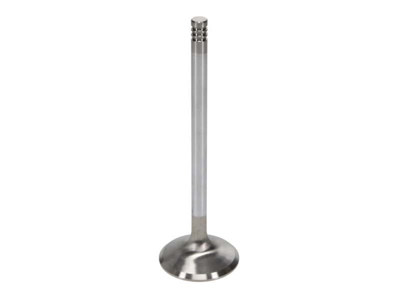 Manley Performance — Manley Ford 6.2L 42mm Diameter 5.356in O/A Length Race Master Exhaust Valves (Set of 8)
Valve - Exhaust - view 4
