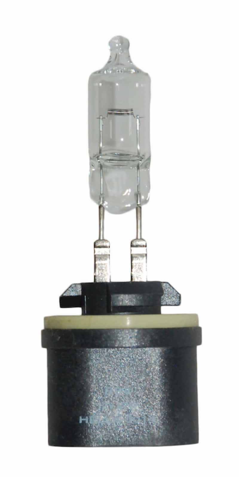 Hella — Hella Bulb 884 12V 27W Pg13 T325
884 Halogen Bulb - view 1