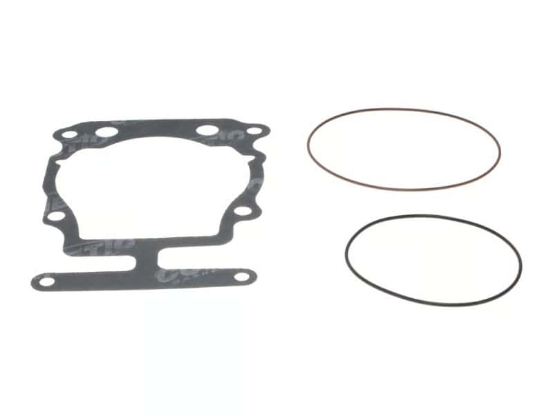 Wiseco — Wiseco Top End Gasket Kit Rotax 250 96-03 Gasket Kart/ 2 Stroke
Gasket Kit - view 4