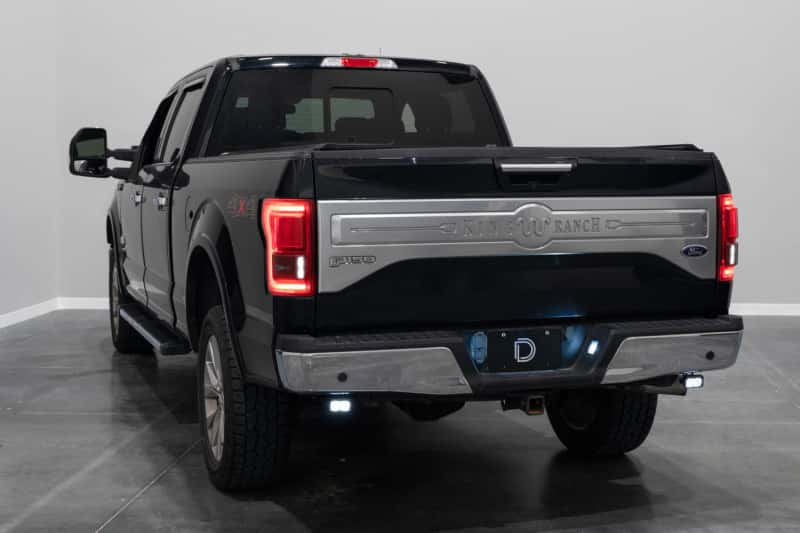 Diode Dynamics — Diode Dynamics 15-20 Ford F-150 C2 Pro Stage Series Reverse Light Kit - view 4