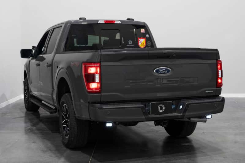 Diode Dynamics — Diode Dynamics 21-22 Ford F-150 Stage Series Reverse Light Kit C2 Pro - view 4