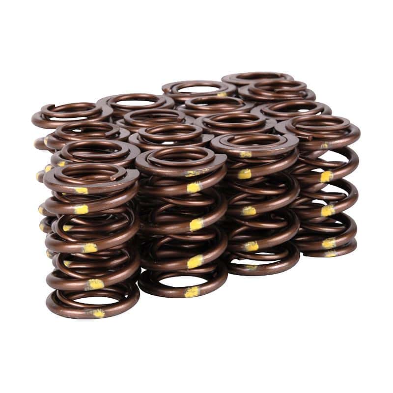 Skunk2 Racing — Skunk2 Pro Series Honda/Acura B-Series VTEC XP Valve Spring Set (Dual Springs)
Valve Spring Kit - view 5