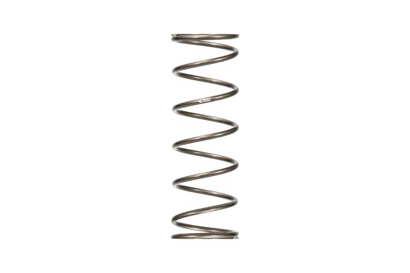 Eibach — Eibach Platinum Rear Spring - view 1