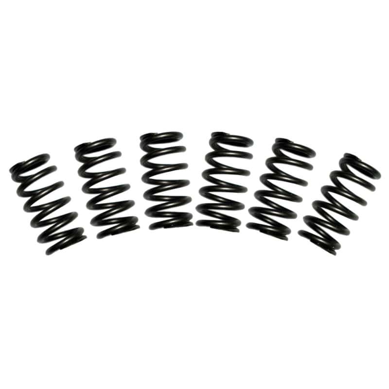 BD Diesel — BD Diesel Valve Spring Kit 60lb Cummins 5.9 12-valve
EXH VALVE SPRING KIT
Valve Spring - view 1