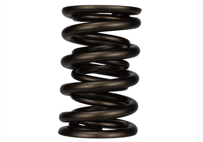 Ford Racing — Ford Racing Replacement Valve Springs (TVS-1734) - Set Of 8 - view 9
