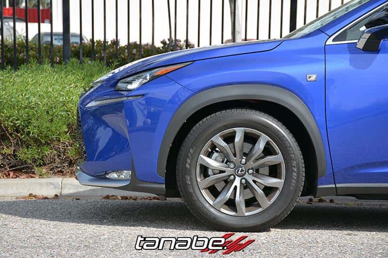 Tanabe — Tanabe NF210 Springs 15-16 Lexus NX200T F-Sport FWD - view 5