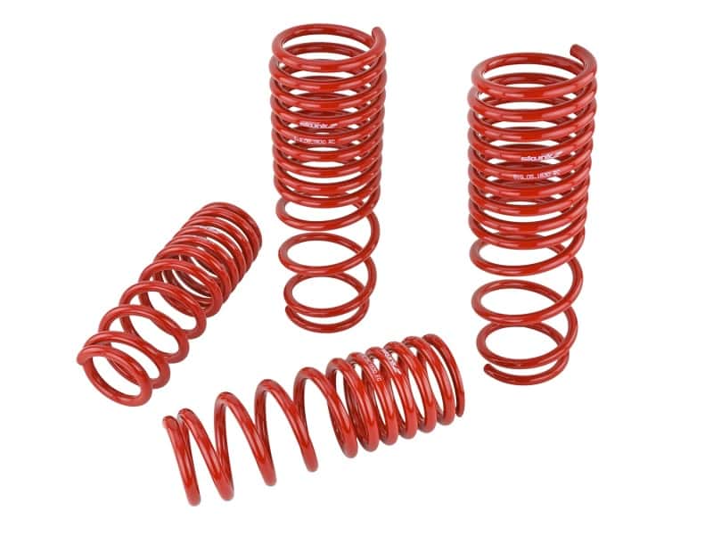 Skunk2 Racing — Skunk2 90-97 Honda Accord (All Models) Lowering Springs (2.00in. - 1.80in.) (Set of 4)
Coil Spring Set - view 3