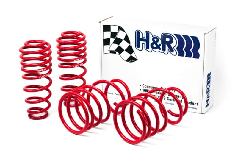 H&R — H&R 05-09 Ford Mustang/Convertible/GT/Shelby GT/Shelby GT-H V6/V8 Race Spring
Race Spring - view 2