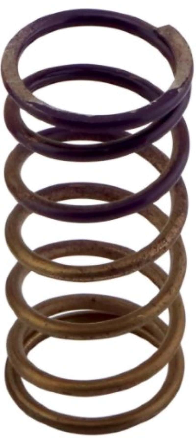Turbosmart — Turbosmart Gen-V WG60 5psi Purple Inner Spring
Inner Spring - view 2