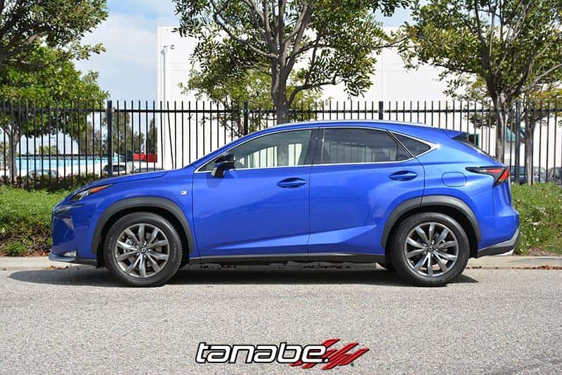 Tanabe — Tanabe NF210 Springs 15-16 Lexus NX200T F-Sport FWD - view 6