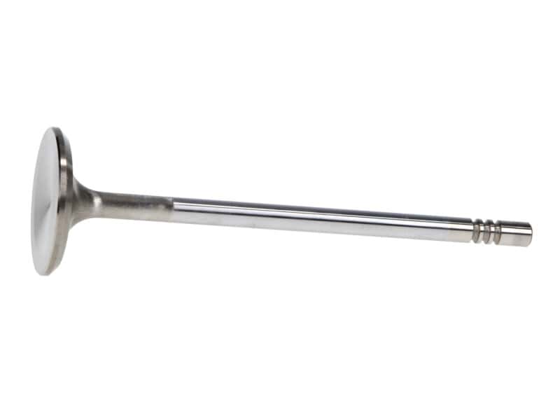 Manley Performance — Manley Ford 4.6L 34mm Diameter 117.35mm Length Race Master Exhaust Valves (Set of 8)
Valve - Intake - view 3