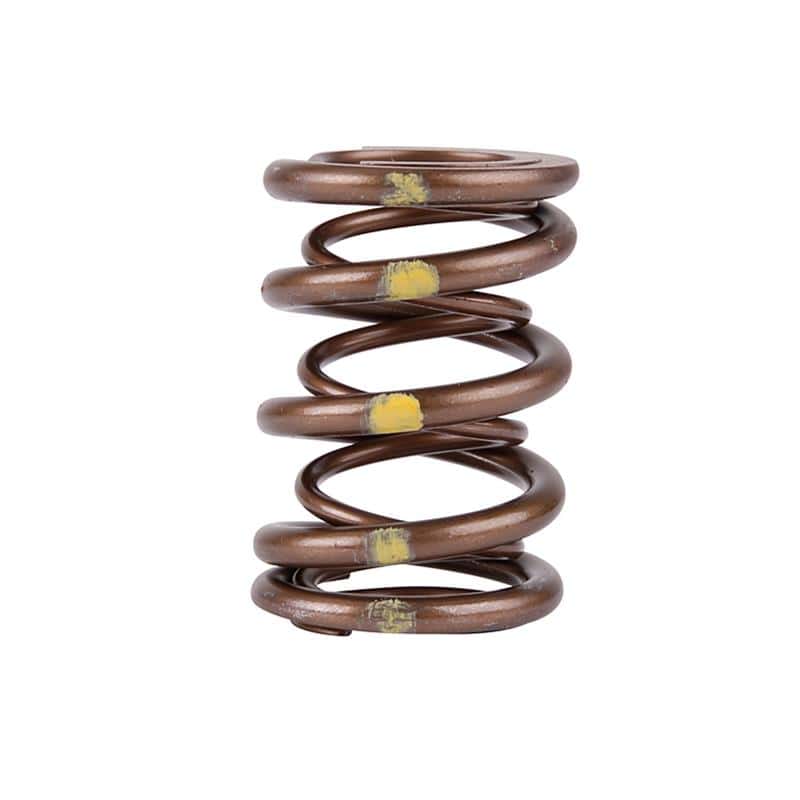Skunk2 Racing — Skunk2 Pro Series Honda/Acura B-Series VTEC XP Valve Spring Set (Dual Springs)
Valve Spring Kit - view 2