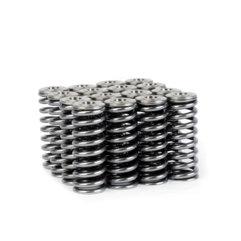 Skunk2 Racing — Skunk2 Alpha Series Honda/Acura D Series Valve Spring and Titanium Retainer Kit
Valve Spring Kit - view 9