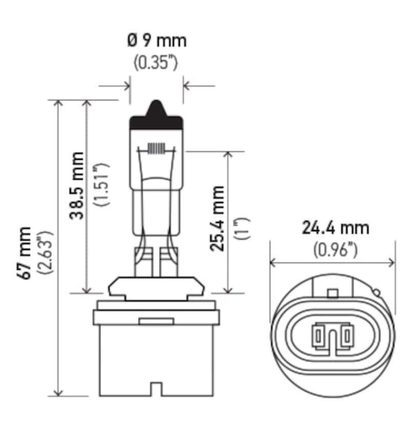 Hella — Hella Bulb 893 12V 37.5W PG13 T3.25
893 Halogen Bulb - view 4