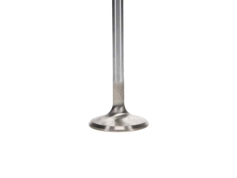 Manley Performance — Manley up to 2010 Dodge Viper V-10 1.600 Dia Race Master Exhaust Valves (Set of 10)
Valve - Exhaust - view 5