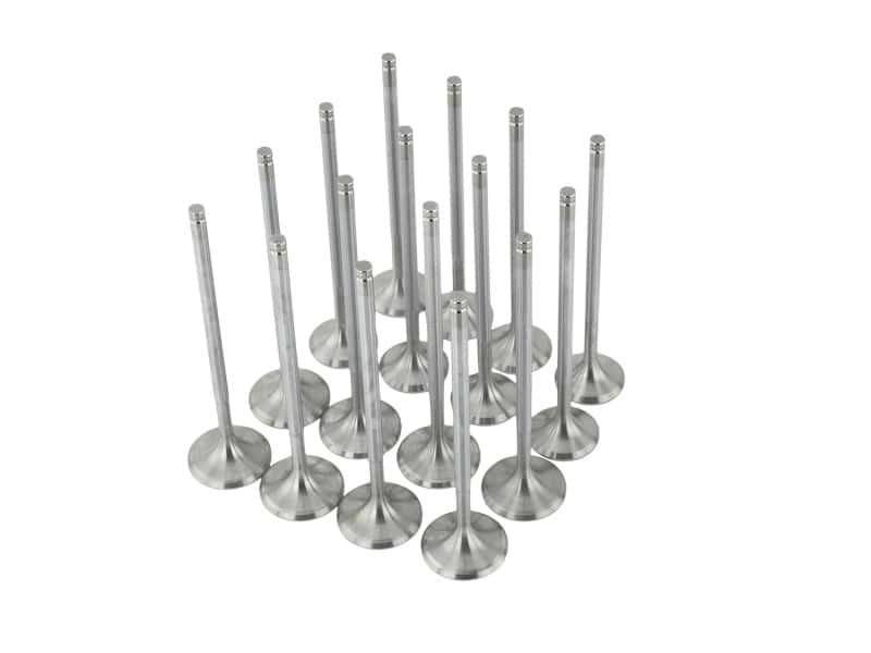 Skunk2 Racing — Skunk2 Alpha Series Honda/Acura Stock Size D Series Valve Set (Standard Compression)
Engine Valve Set - view 7