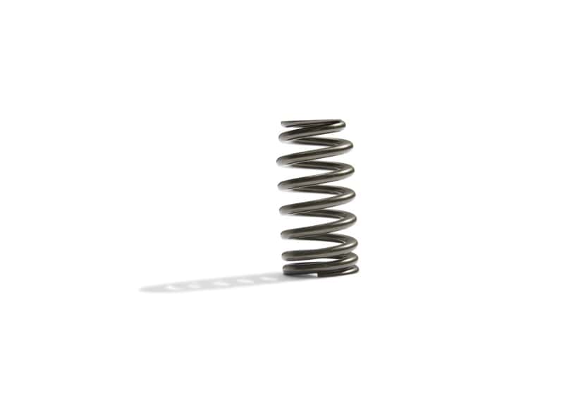 Ford Racing — Ford Racing BOSS 302R Valve Spring Kit - view 5