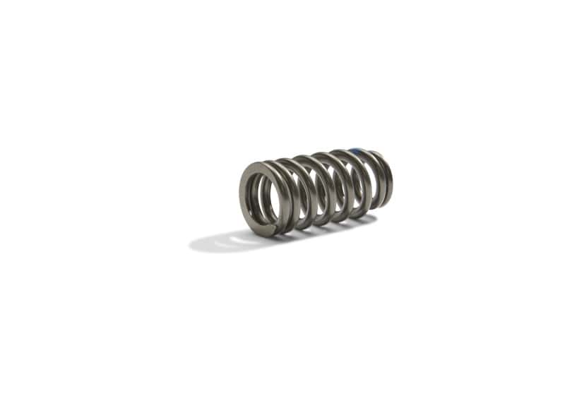 Ford Racing — Ford Racing BOSS 302R Valve Spring Kit - view 6