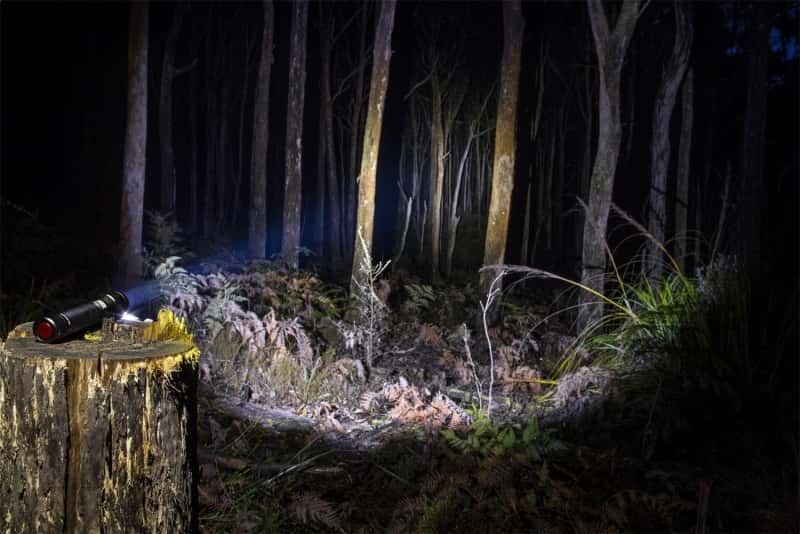 ARB — ARB Pureview 800 Flashlight 800 Lumen Flashlight
Pureview Flashlight - view 2