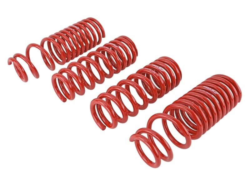 Skunk2 Racing — Skunk2 90-93 Acura Integra Lowering Springs (2.50in - 2.25in.) (Set of 4)
Coil Spring Set - view 5
