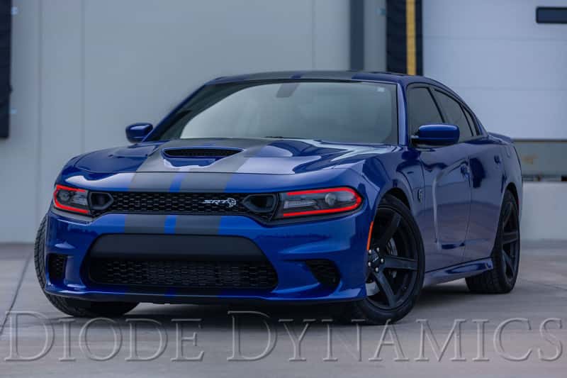 Diode Dynamics — Diode Dynamics RGBW DRL LED Boards for 2019-2021 Dodge Charger - view 3
