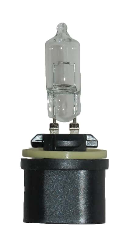 Hella — Hella Bulb 890 12V 27W Pg13 T325
890 Halogen Bulb - view 3