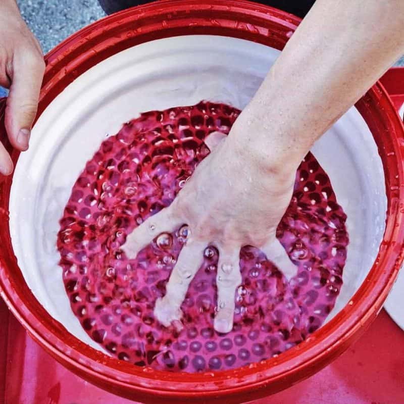 Chemical Guys — Chemical Guys Cyclone Dirt Trap Car Wash Bucket Insert - Red - view 5