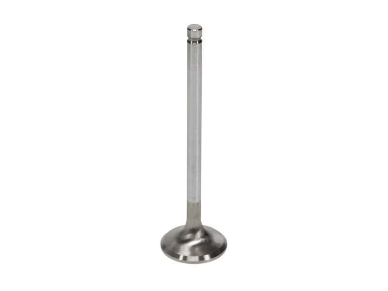 Manley Performance — Manley Subaru WRX EJ205/STi EJ257 33mm Race Master Exhaust Valves (Set of 8)
Valve - Exhaust - view 5